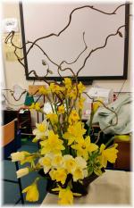 Flowers used - Daffodil & Narcissus.  The wood element is twisted hazel.